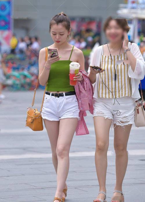 茶友交流群